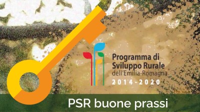 Video Psr Buone Prassi - immagine